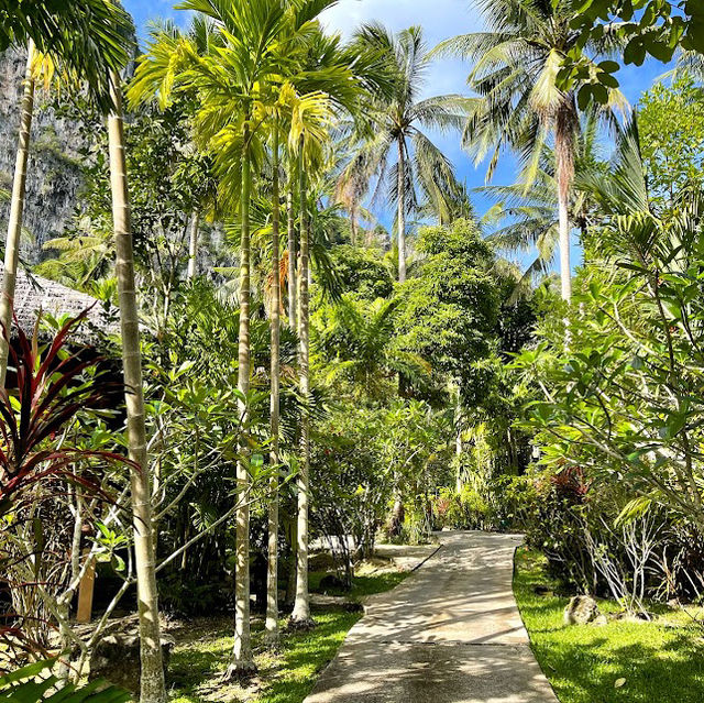 📍Ban Sainai Resort