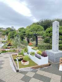 【明石】イベント開催中の明石公園