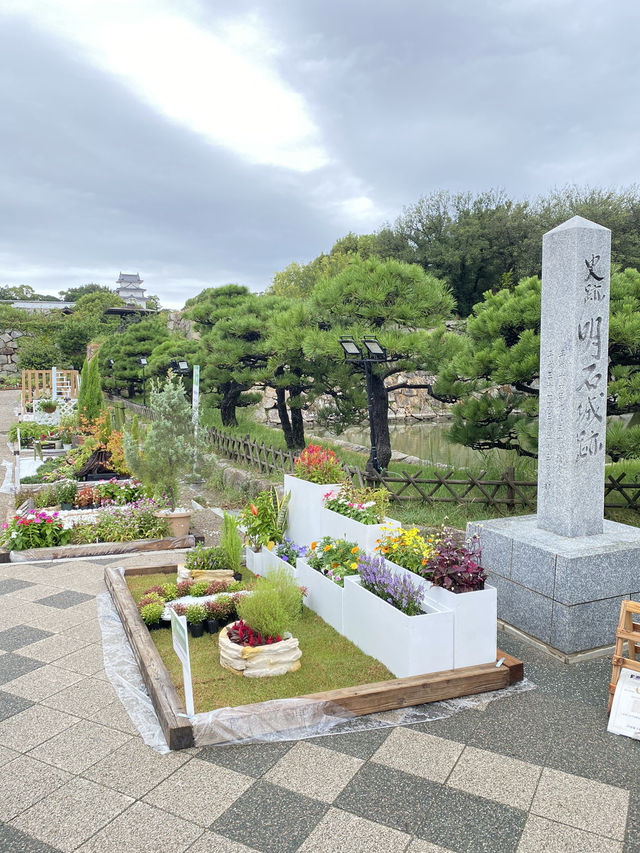 【明石】イベント開催中の明石公園