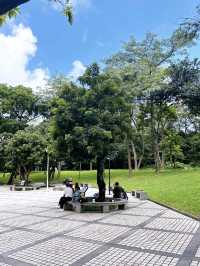 Greenery Shenzhen Zhongshan Park 