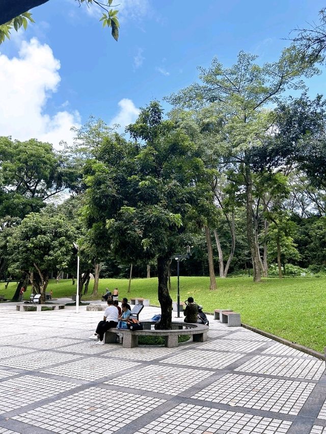 Greenery Shenzhen Zhongshan Park 