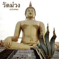 วัดม่วง อ.วิเศษชัยชาญ