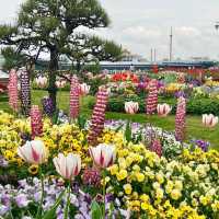 A park with tranquility and peace