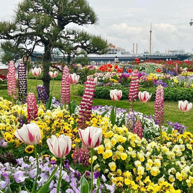 A park with tranquility and peace