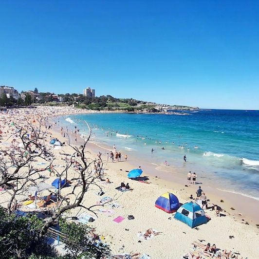 Bondi to Coogee Walk