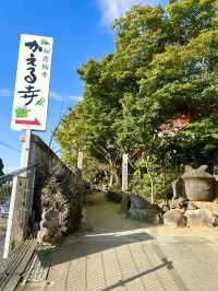 【福岡 小郡】かえると風鈴がいっぱいの寺🐸🎐