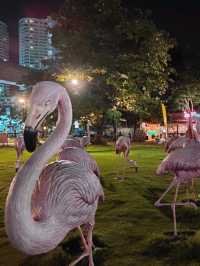 นั่งชิวร้าน Pink Flamingo 