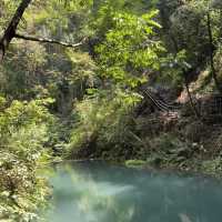 ～陽台山森林公園～自然的奇妙～