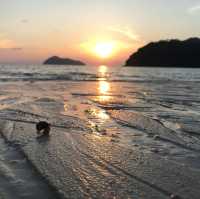 Paradise on Earth 