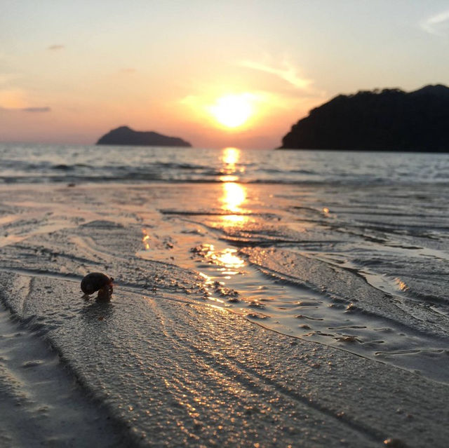 Paradise on Earth 