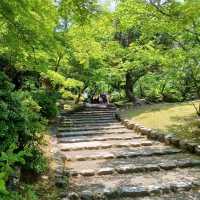 【京都】京都旅はここから始まる！名勝円山公園