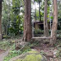 วนธารารีสอร์ท พิษณุโลก