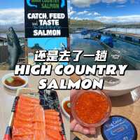 new zealand high country salmon
