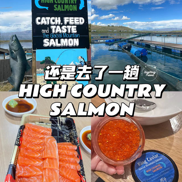 new zealand high country salmon