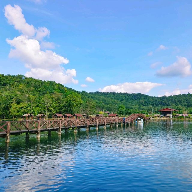 瀑布公園餵魚