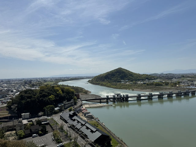尋找櫻花·名古屋犬山城之旅