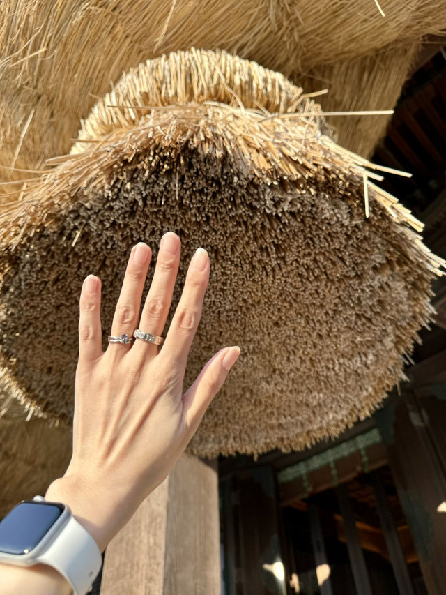 【福岡県】美しい「光の道」の光景