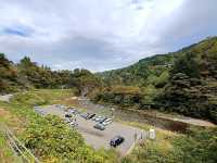 【美人林:新潟県十日町】美しい林道が広がる綺麗な場所✨
