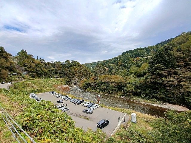 【美人林:新潟県十日町】美しい林道が広がる綺麗な場所✨