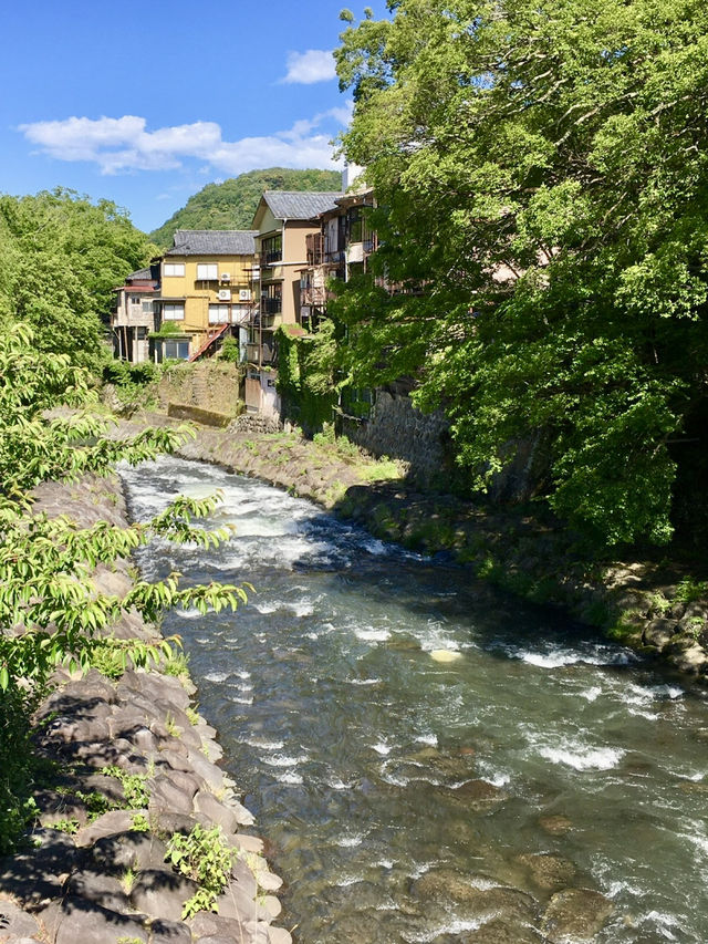 【静岡県】恋愛成就の橋と癒しの竹林