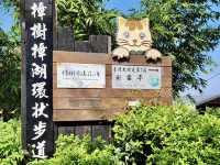 樟樹步道郊遊-平緩易行，一家大細輕鬆享受郊遊趣