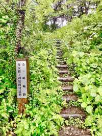 【福井県】敦賀港の眺めが素晴らしい神社