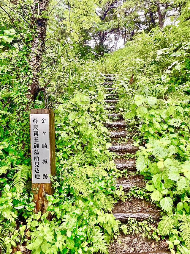 【福井県】敦賀港の眺めが素晴らしい神社