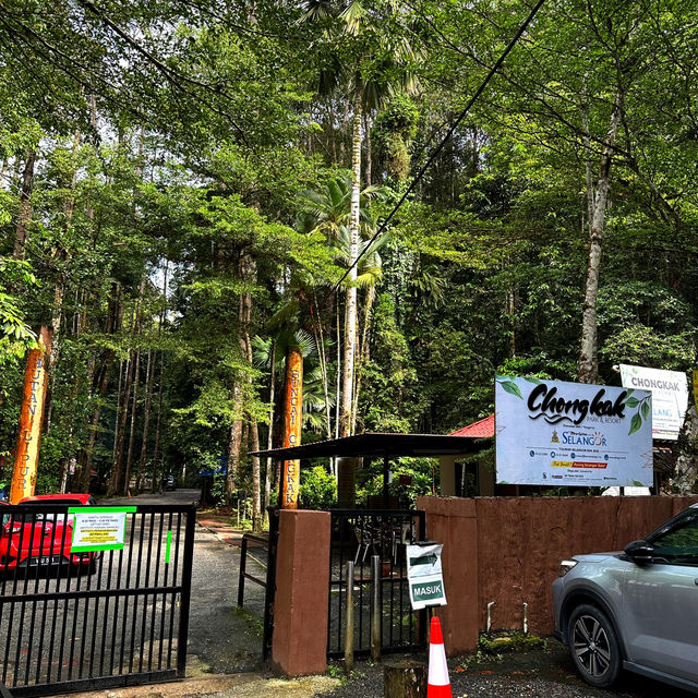 Enjoy the green shower - Sg Congkok