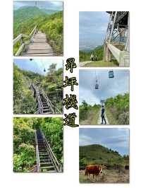 昂坪棧道-飽覧東涌灣和香港國際機場美景，更可近距離與纜車打咭