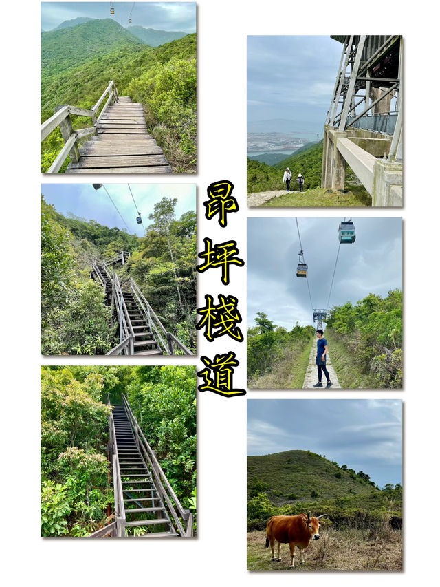 昂坪棧道-飽覧東涌灣和香港國際機場美景，更可近距離與纜車打咭