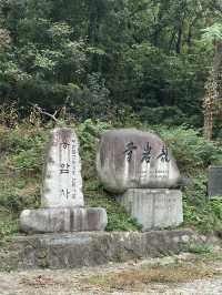 Fresh air and smell of pine trees in Bukhansan forest