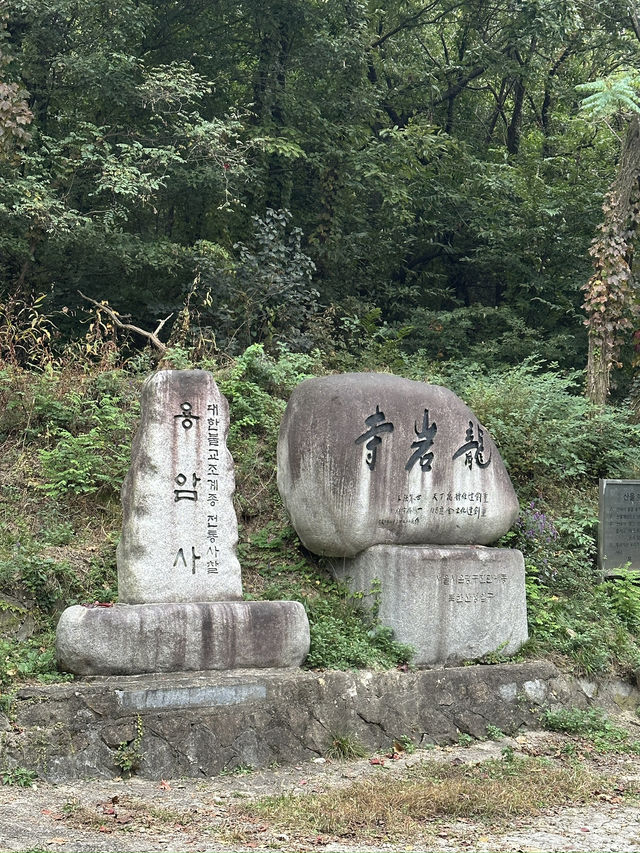 Fresh air and smell of pine trees in Bukhansan forest