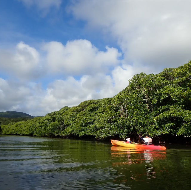 【沖縄】家族で自然を大冒険🌳忘れられない体験を🛶🤍