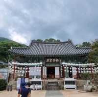 미스터션셔인으로 더 유명해진 지리산 천은사로 떠나보자
