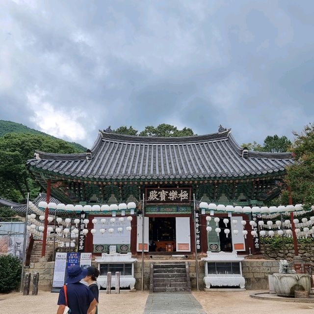 미스터션셔인으로 더 유명해진 지리산 천은사로 떠나보자