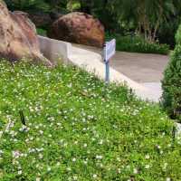 คาเฟ่สวนสวย 168 บ้านไร่ จ.ชัยภูมิ