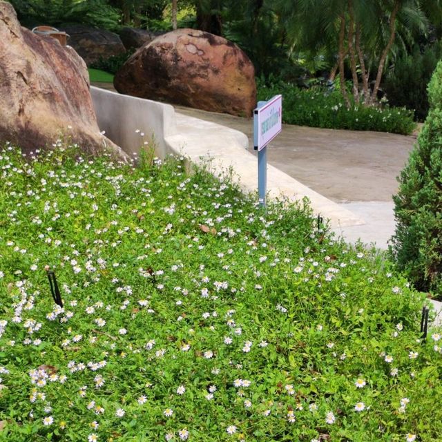 คาเฟ่สวนสวย 168 บ้านไร่ จ.ชัยภูมิ