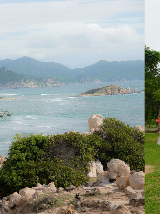 I CAN’T BELIEVE IT’S IN VIETNAM! 😱🇻🇳