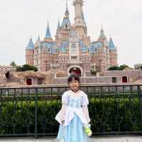 Disneyland shanghai