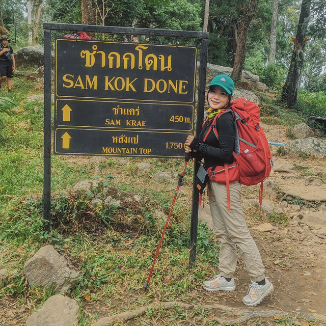 เดินป่าพิชิตภูกระดึง - จ.เลย