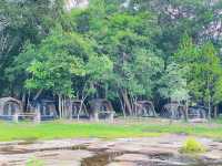 เที่ยวธรรมชาติหน้าฝน - ผาชะนะได อุบลราชธานี