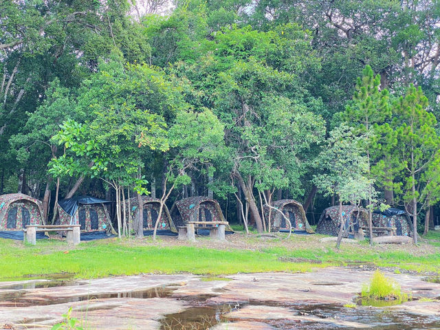 เที่ยวธรรมชาติหน้าฝน - ผาชะนะได อุบลราชธานี