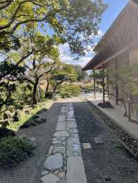 《熊本水前寺成趣園》：尋找寧靜與自然之美的心靈之旅