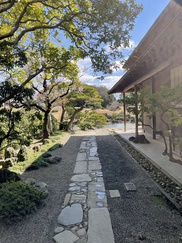 《熊本水前寺成趣園》：尋找寧靜與自然之美的心靈之旅