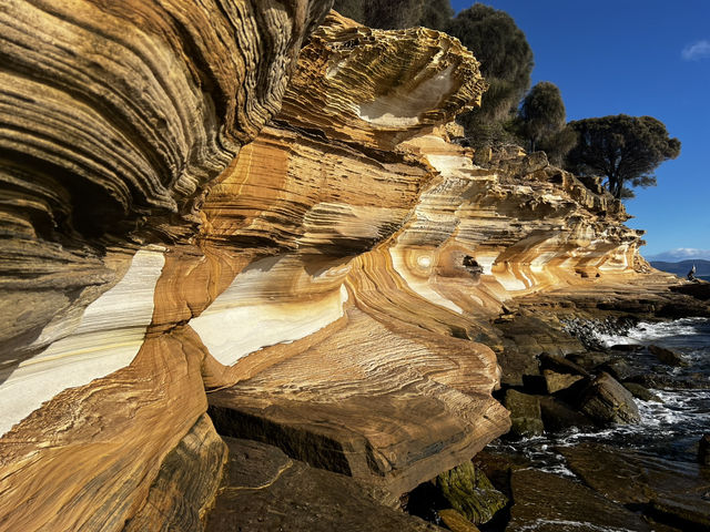 Rock art in Hobart 