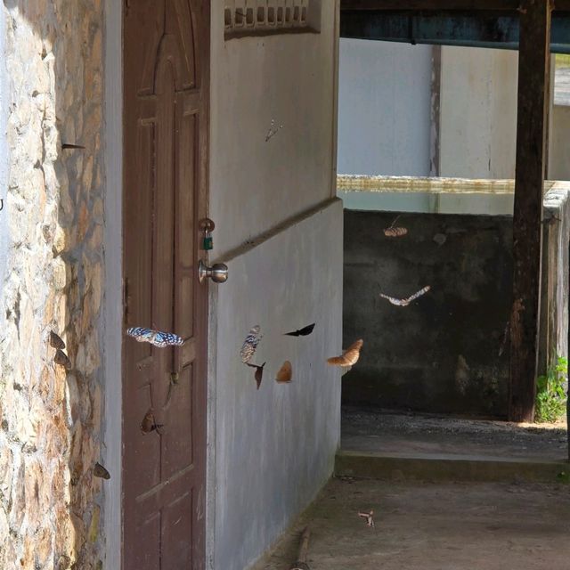 สุดเขตประเทศไทย ช่องมิตรภาพชายแดนไทย-พม่า