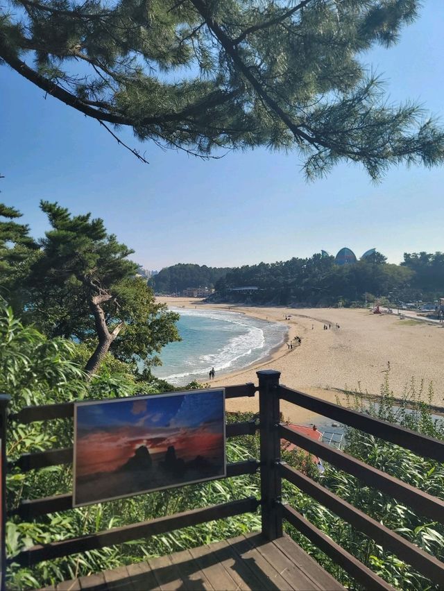 동해일출명소로 유명한 추암촛대바위🩵