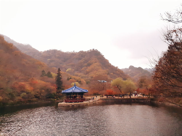 《秋日浪漫🍂：探尋韓國內藏山的紅葉之美🍁》