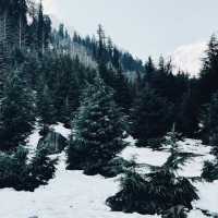 Solang Valley: Nature’s Playground and Adventure Hub 🏞️✨