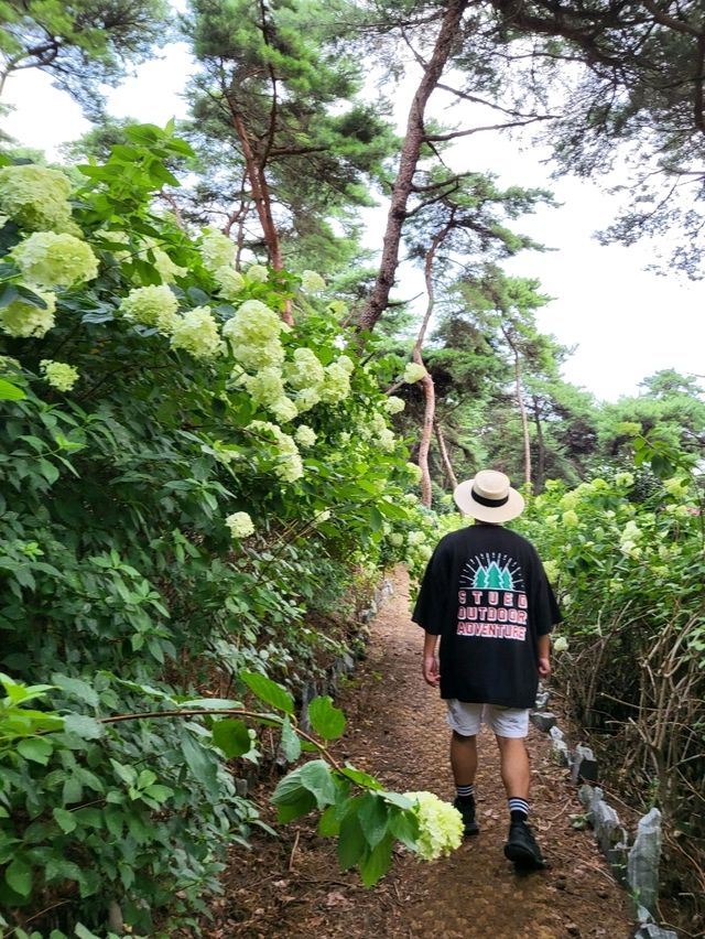 지금 가면 더 예쁠 장성 가을여행지
